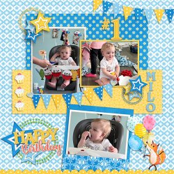 Milo's-First-Birthday-web600.jpg