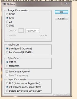 Correct Tif Settings.JPG