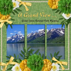 600-adbdesigns-lemon-sage-poki-01.jpg