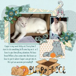 Casper in a Box.jpg Casper in a Box.jpg