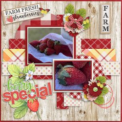 Strawberry-Mint-Layout-web600.jpg Strawberry-Mint-Layout-web600.jpg
