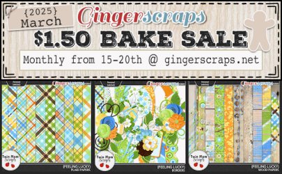 TWINMOMSCRAPS_2025_MAR_BAKESALE.jpg