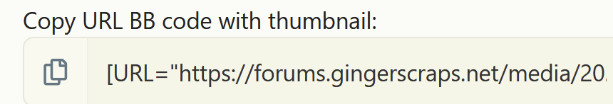1742185522231.png