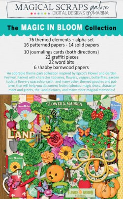 NEWSLETTER-SHOWCASE-1-B-MagicBloom.jpg