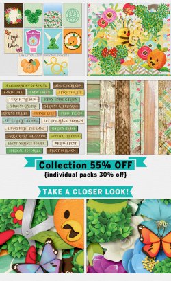 NEWSLETTER-SHOWCASE-2-MagicBloom.jpg