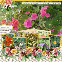 Paint Chips Golden Spring-Connie Prince.jpg