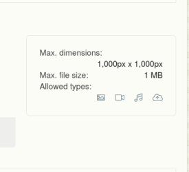 limit size.png