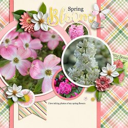 Spring-Flowers.jpg
