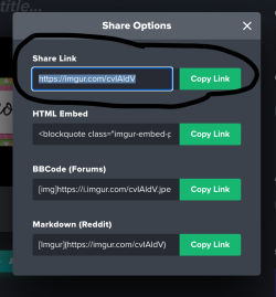 Screenshot 2025-04-04 at 12.59.28 PM.png
