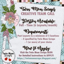 TWINMOMSCRAPS_CT CALL_4.2025.jpg