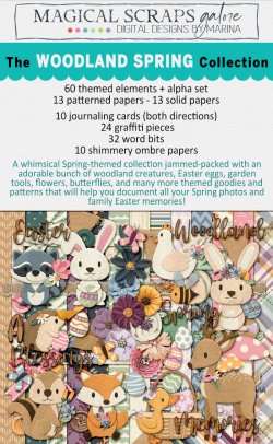 NEWSLETTER-SHOWCASE-1-B.jpg