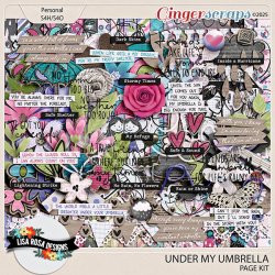 lisarosadesigns_undermyumbrella_pagekit.jpg