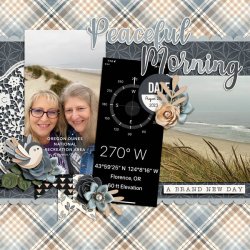 CAP-paint-chips-misty-morning-mary.jpg