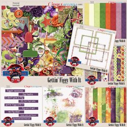 TBC-GFWI-Bundle-Prv.jpg