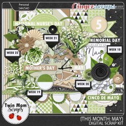TWINMOMSCRAPS_THIS_MONTH_MAY.jpg