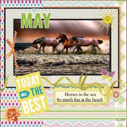 -May.2025-So much fun..jpg