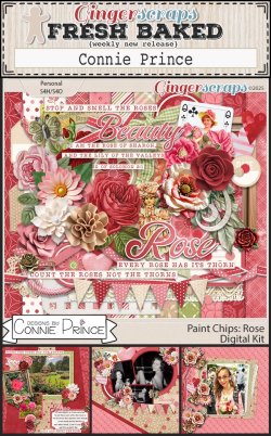 0613 rose PV.jpeg