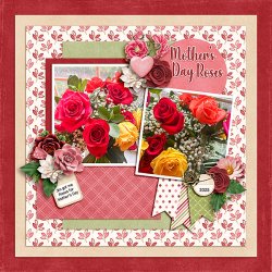 Mothers-Day-Roses.jpg