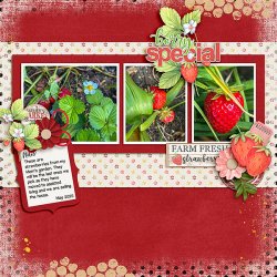 Moms-Strawberries.jpg