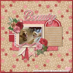 Beauty.jpg