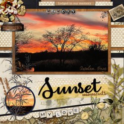 600 Q Sunset Forget me not cwd MFish_SummerSizzle_02.jpg