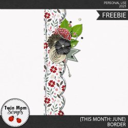 TWINMOMSCRAPS_THIS_MONTH_JUNE_BORDER.jpg