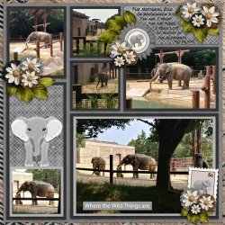 SCR-WildT-Jungle-Joyce-01.jpg SCR-WildT-Jungle-Joyce-01.jpg