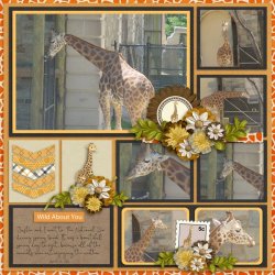 SCR-WildT-Jungle-Joyce-02.jpg SCR-WildT-Jungle-Joyce-02.jpg