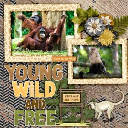 SCR-WildT-Jungle-Pia-02.jpg SCR-WildT-Jungle-Pia-02.jpg