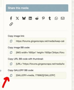 BBGallery.jpg