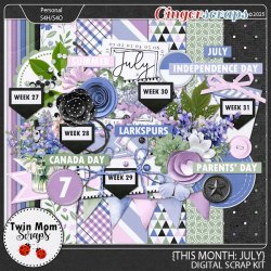 TWINMOMSCRAPS_THIS_MONTH_JULY.jpg