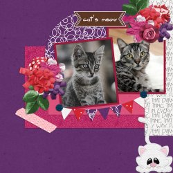 MyPets1-Joy4.jpg