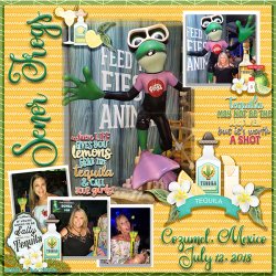 600 Senor Frogs Tequila SCR MFish_GrungyStories1_04.jpg 600 Senor Frogs Tequila SCR MFish_GrungyStories1_04.jpg