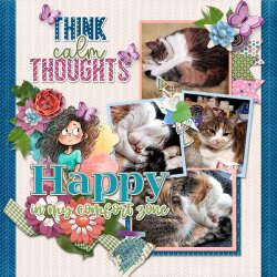 ThinkCalmThoughts_ollitko_600.jpg