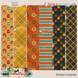 tsk_driverslicense_tornpaperpreview.jpg