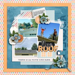 New-Roof.jpg