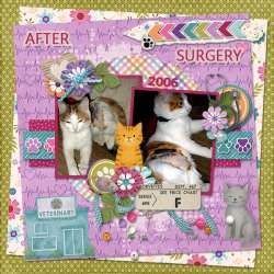 AfterSurgery_ollitko_600.jpg