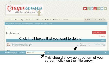 Delete Direct Message 2.jpg