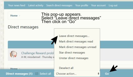 Delete Direct Message 3.jpg