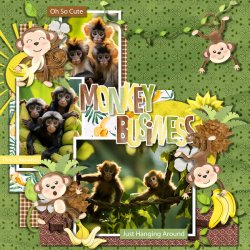 SCR-MonkeyA-Demma-01.jpg