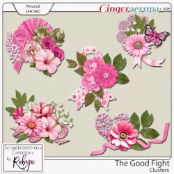 SCR-TGFight-ClprevGS.jpg