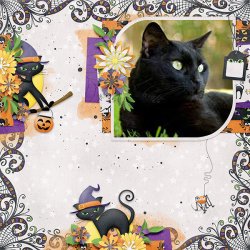 Octopurr31_QP2 Scarady cat.jpg