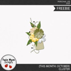 TWINMOMSCRAPS_THIS_MONTH_OCTOBER_CLUSTER.jpg