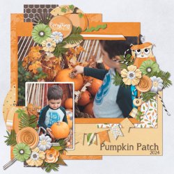 31-10 -25_PumpkinSpice - DianaS.jpg