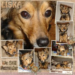 1-WeStillRemember_ollitko_600.jpg