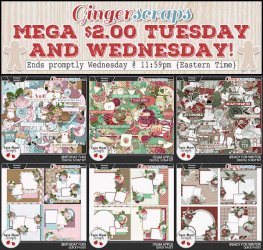 TMS_11.11_$2TUES_GS.jpg