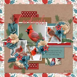SCR-CardinalS-Karen-01.jpg