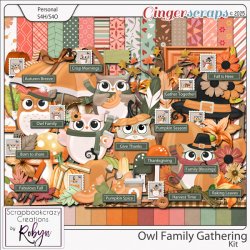 SCR-OwlFG-KitprevGS.jpg