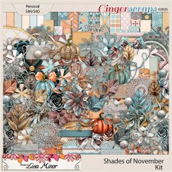 shadesofNovember1.jpg