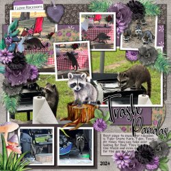 SCR-ILRaccoons-Demma-02.jpg